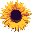             Hier geht´s zum Shop