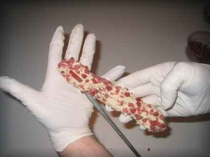 Stockbrot mit Schinken